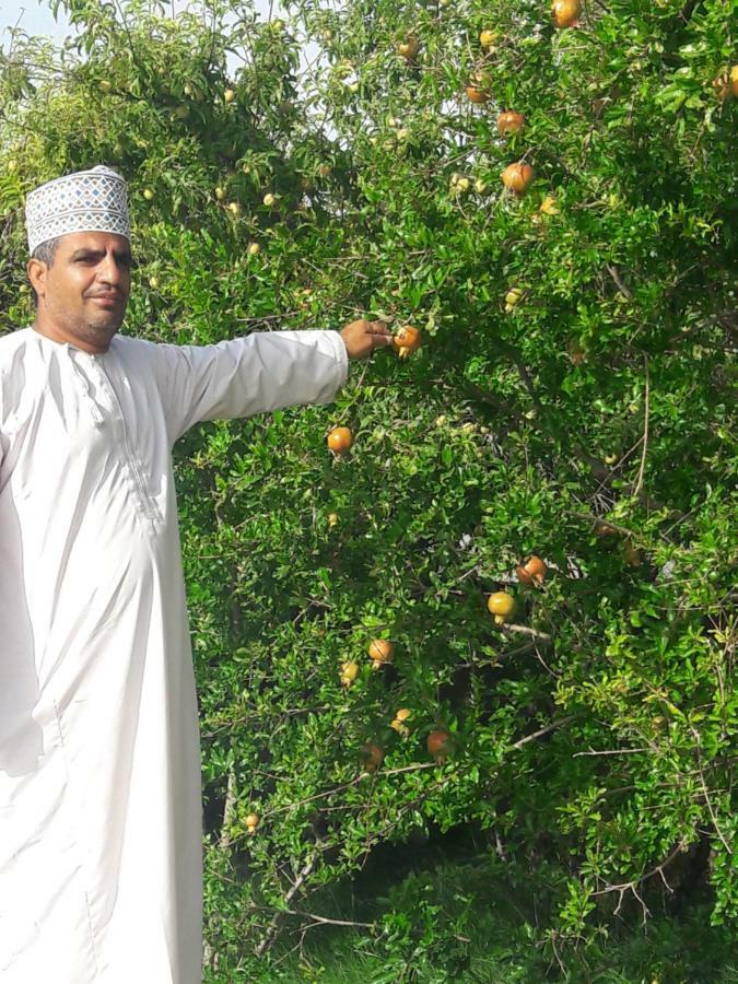 Abu Omair Jabal Shams House Hotel Al Ḩamrāʼ Bagian luar foto