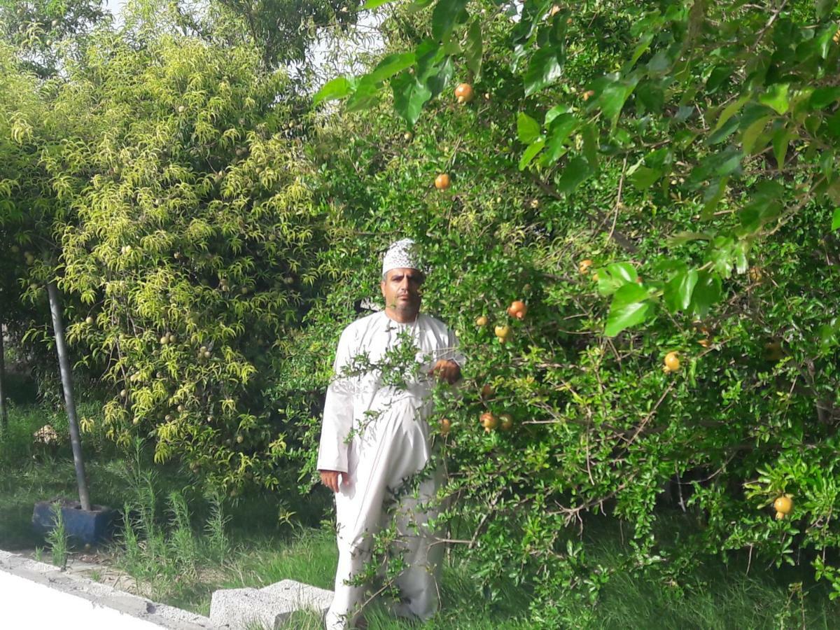 Abu Omair Jabal Shams House Hotel Al Ḩamrāʼ Bagian luar foto