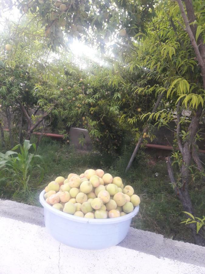 Abu Omair Jabal Shams House Hotel Al Ḩamrāʼ Bagian luar foto